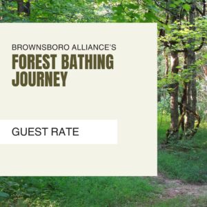 August Forest Bathing (Guest)