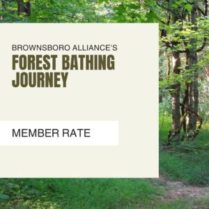 August Forest Bathing (Member)