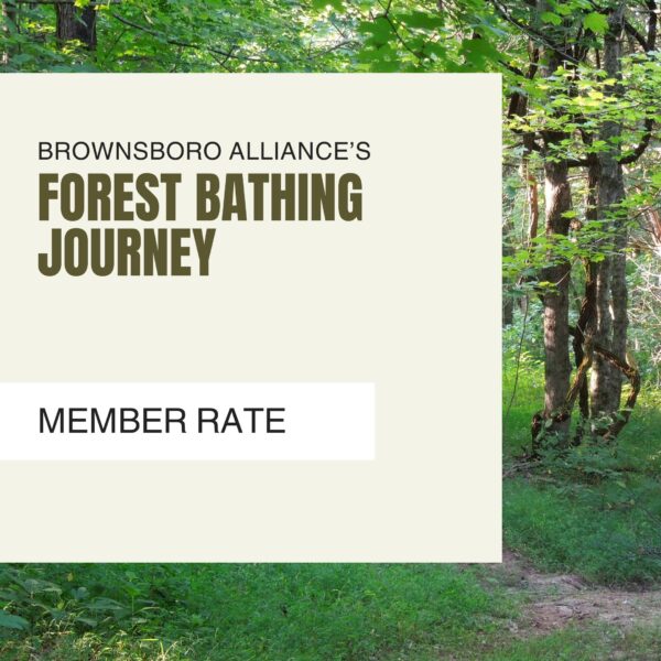 August Forest Bathing (Member)